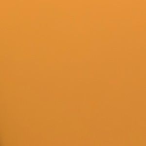 Meet your Posher, Rachelle